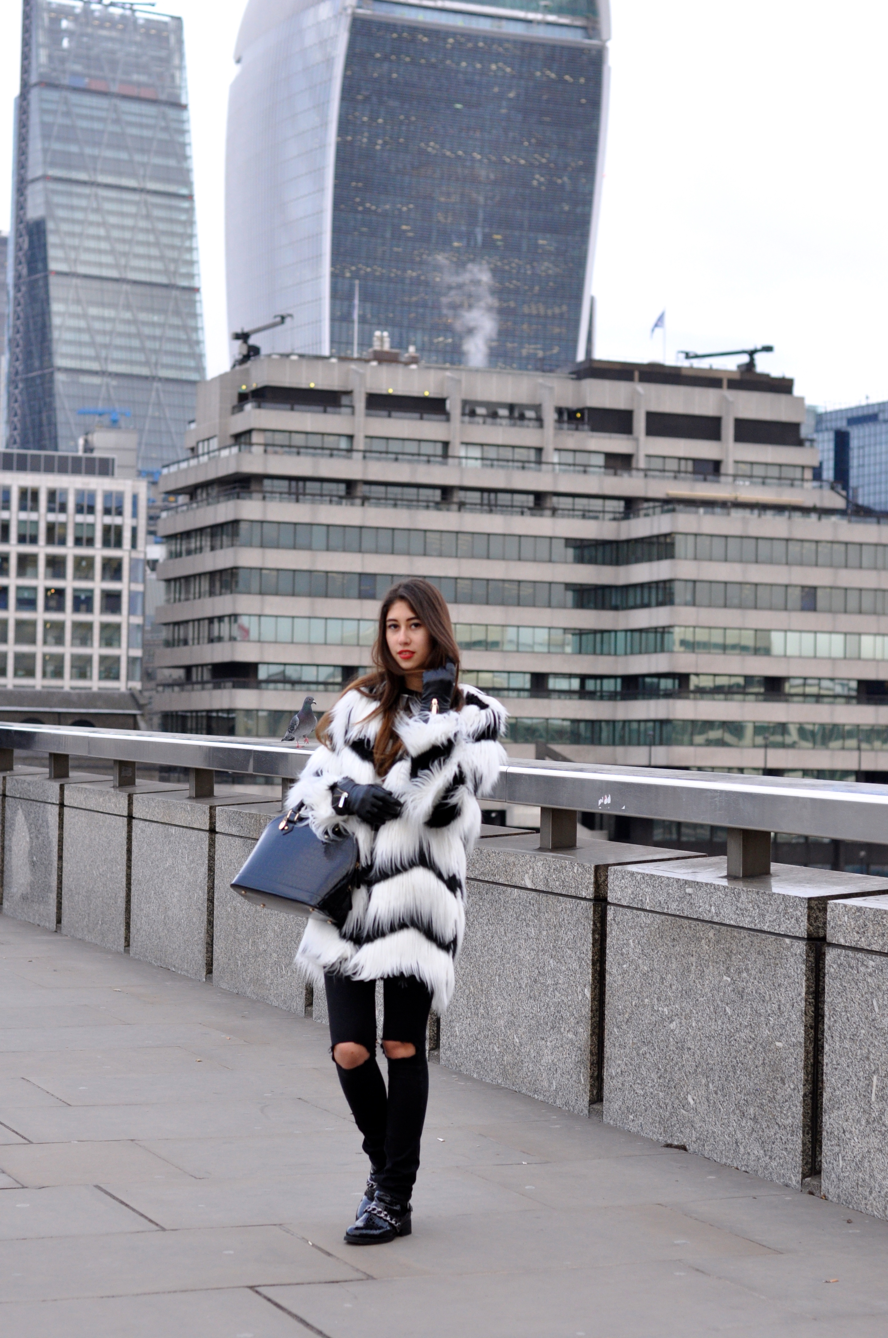 monochrome fur