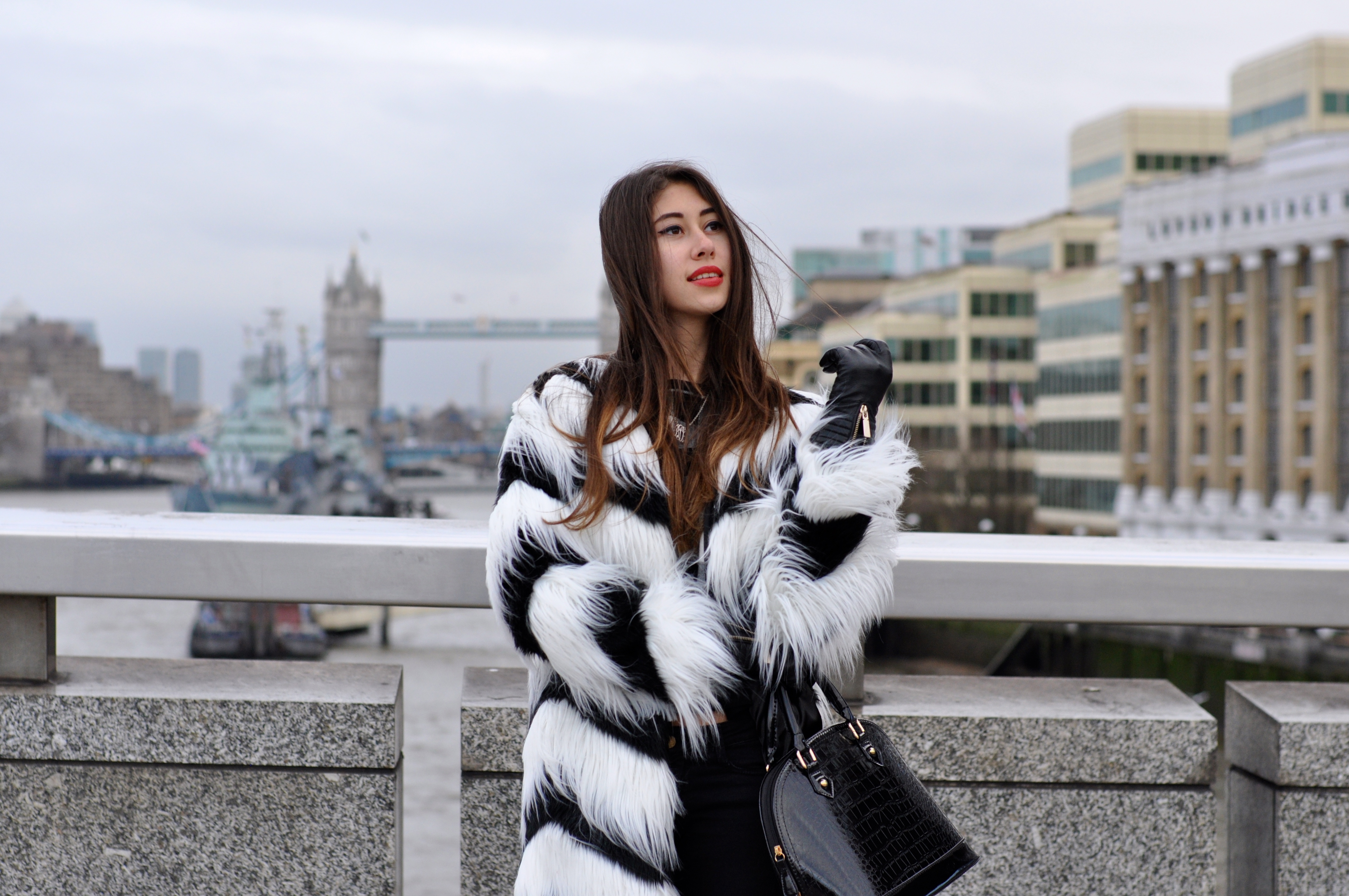 monochrome fur