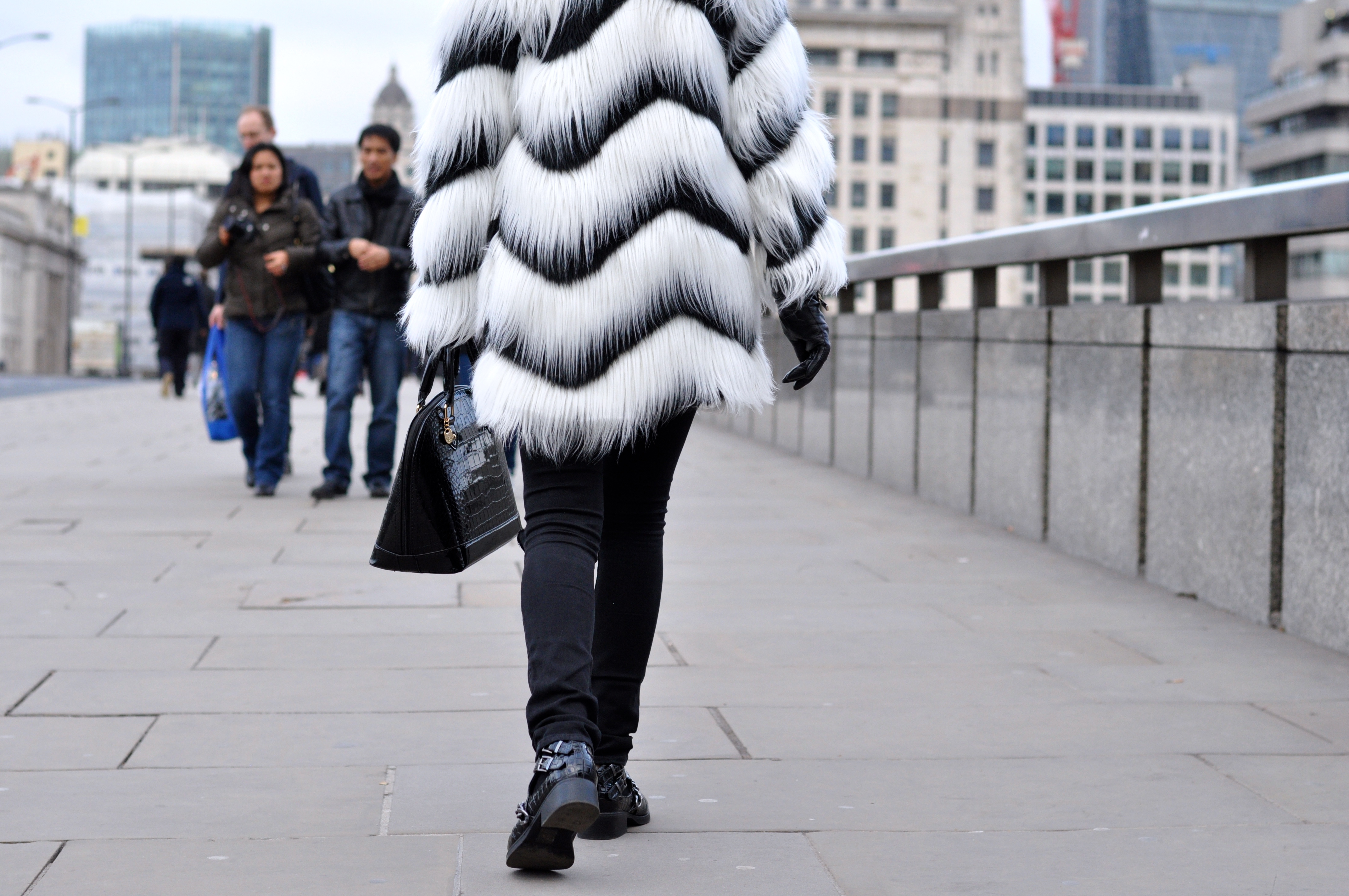 monochrome fur