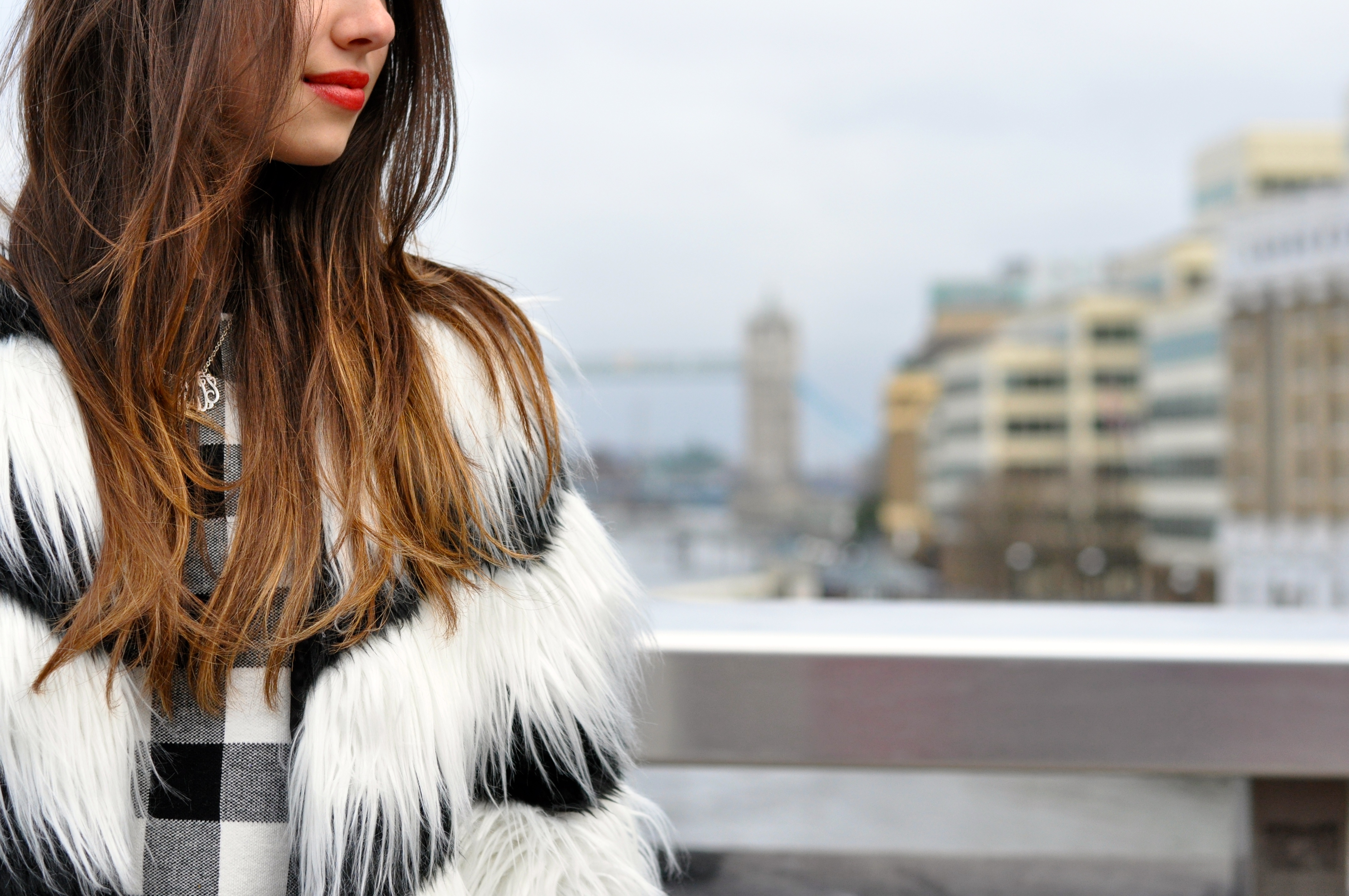 monochrome fur