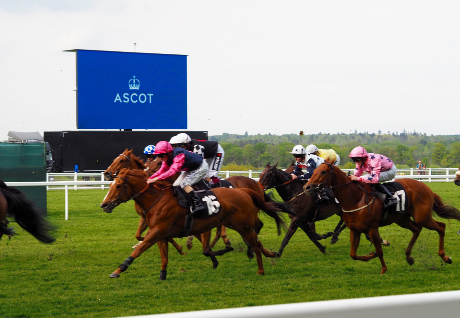day at ascot with wallis